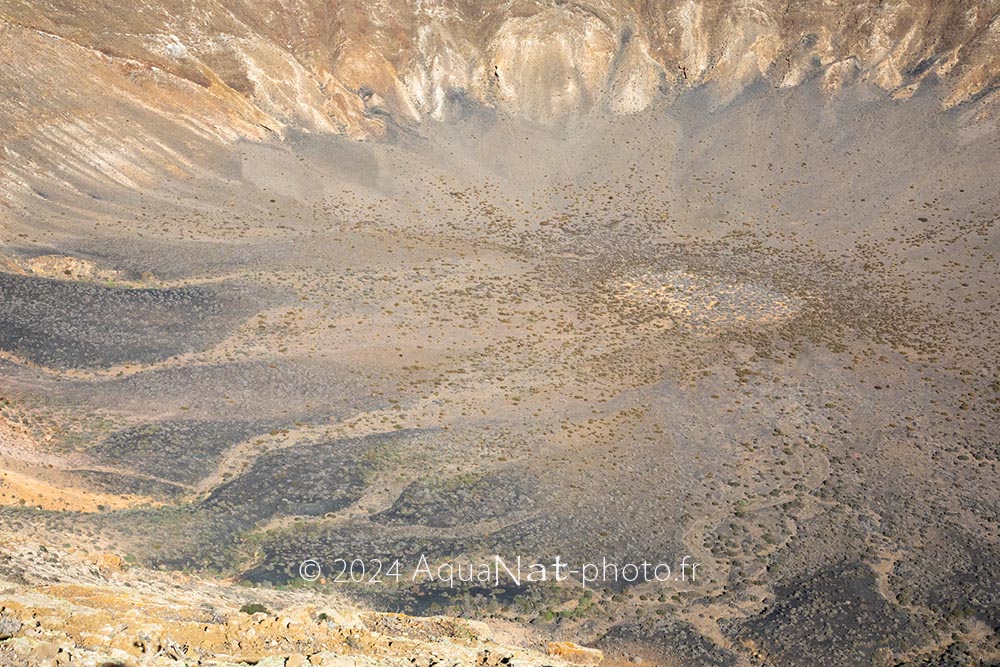 Cœur du cratère de la Caldera Blanca, subtiles textures minérales, mêlées de végétations, teintes beiges sobres