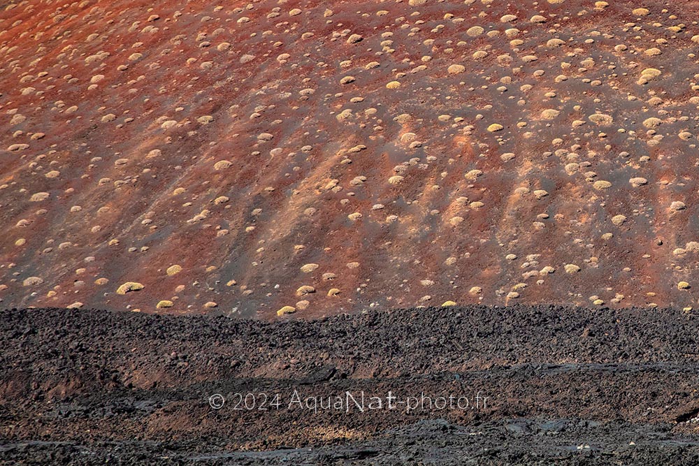 L'opposition minérale des laves de Lanzarote offre des textures et des teintes variées pour une photo graphique et texturale