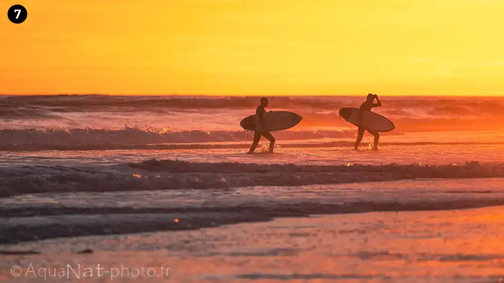 Deux surfeurs planches à la main sortent de l'eau sous un coucher de soleil ardant